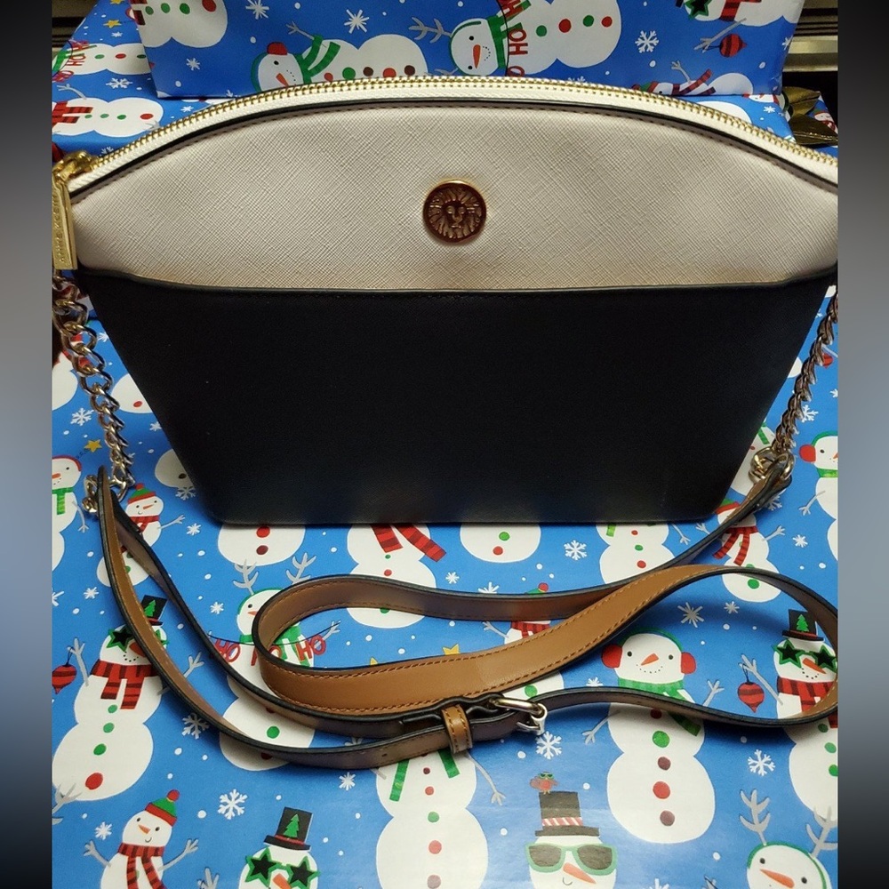 Anne Klein color block Crossbody